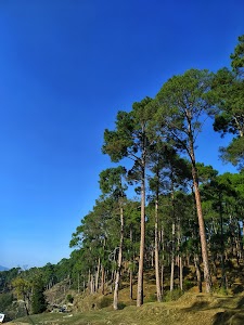Syalidhar Village