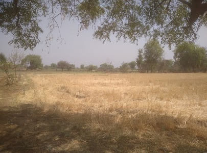 Washimba