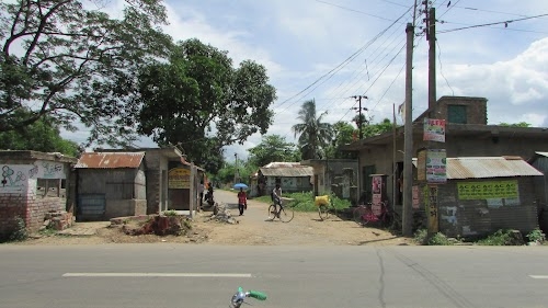 Briddhapara