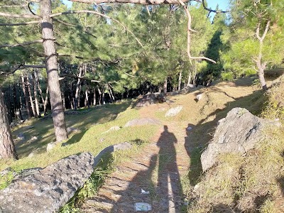 Kalika Temple