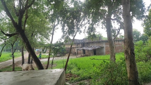 Pandu