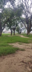 Hiway Inn