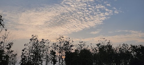 Thengwal Tiwari(Dih baba)