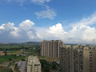 The Essentia