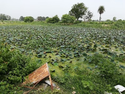 Khereshwar Temple Lotus Lake