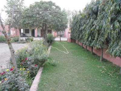 Ghitora