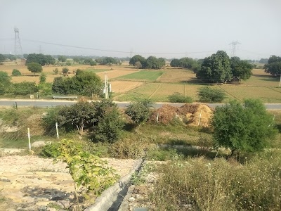 Aalipur