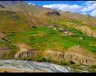 Sapi Baltikhar