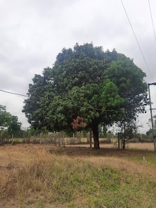Gogathala