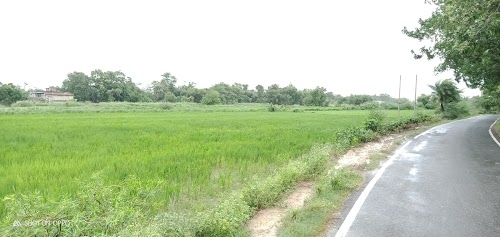 NEW MAHARANI STHAN RAJUPUT TOLA WARD-8