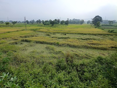Shobha bridge
