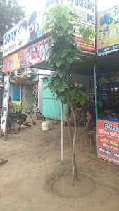 Soni hair saloon