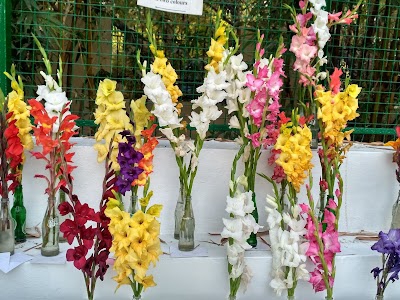 Jiyanpur chok