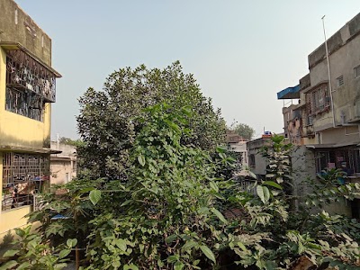 Roy bahadur road