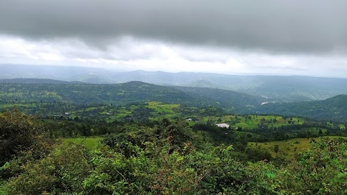 Wilson Hills