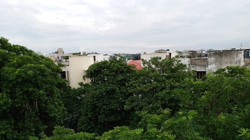Ardee City, Sector 52