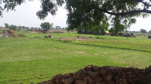 Dihauli