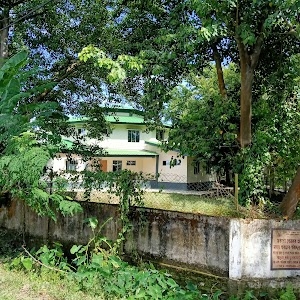 Mayang