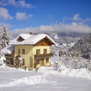 Austrian Alps / Haus Kienreich