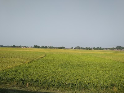 Dadpur BH