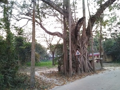 Salka Kali Temple