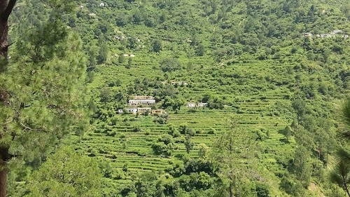 Bhetti
