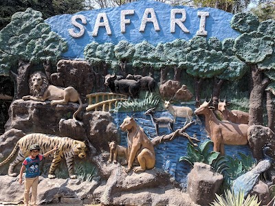Tiger Safari