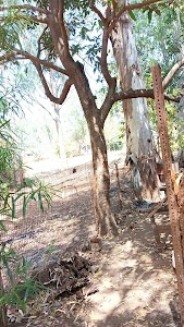 Shamsabad