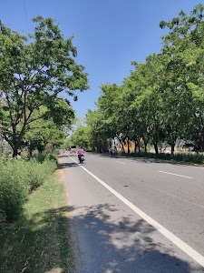 Bhanopli