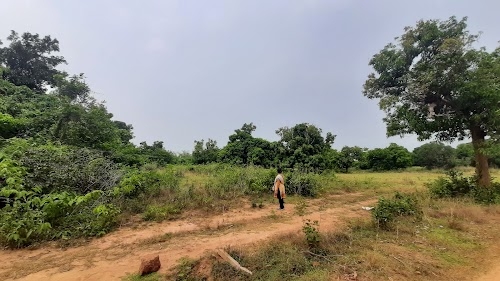 Malipada