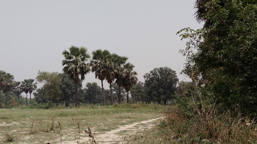 Basic School Sports Ground