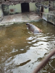 Zoo's Lake View