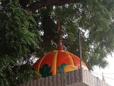 Pinana
