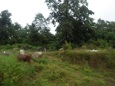 Hatibari