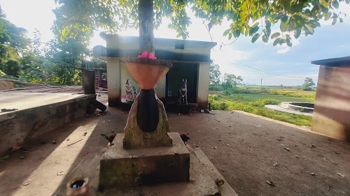 MAJHIPAL TARINI TEMPLE .KARAN