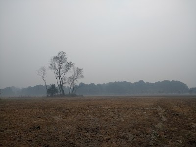 Bidupur