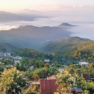 Merangkong