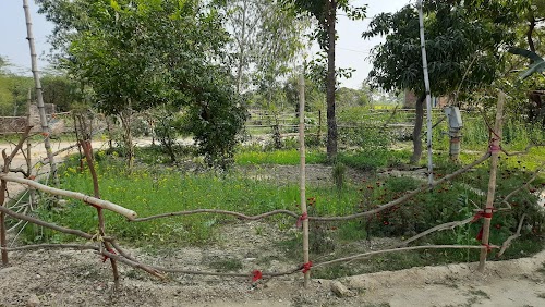 Primary School Ramgarh raila lagani pratapgarh up