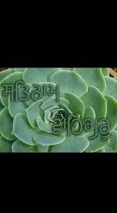 My Home Near Shiv Mandir
