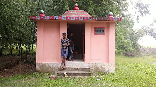 स्व. प्रो. आर. के. यादव