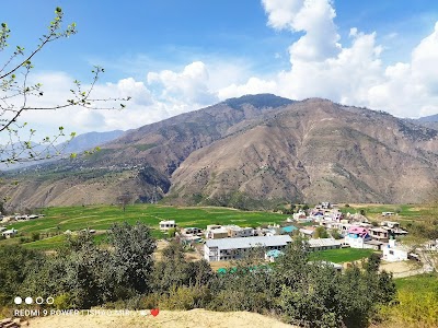 Bhella Doda