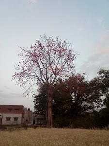 Chakarpur