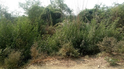 Vihara Farms Pvt. Ltd.
