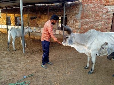 गोशाला,