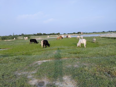 Nawada