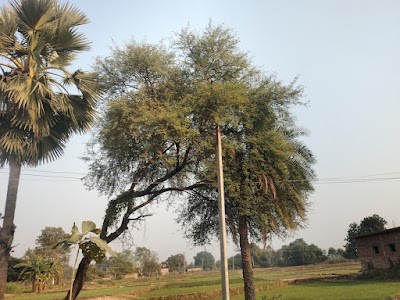 Bilaspur