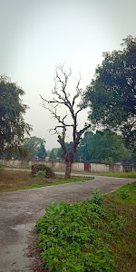 SUBHASH STADIUM