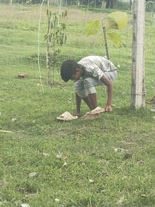 Deen Mohammad's farm दीन मोहम्मद का खेत kaif