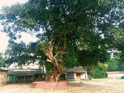 Hamirpur