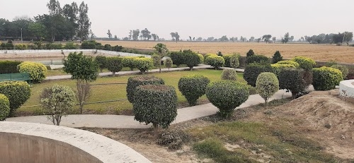Bangi Ruldu